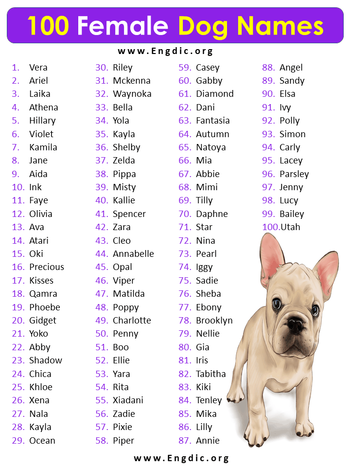 300 Amazing Female Dog Names Unique And Cute EngDic