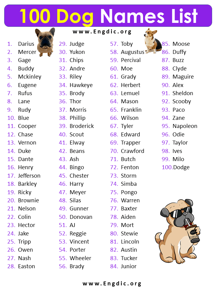 100 Dog Names, Cute dog names list, Cute Puppy names male - EngDic