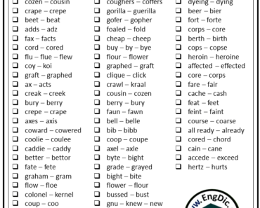 100 Examples of Homonyms