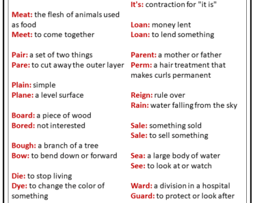 100 Homophones with Meaning