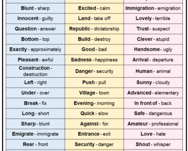 1000 Antonyms Words List