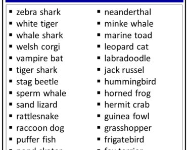 11 Letter Animals Names List