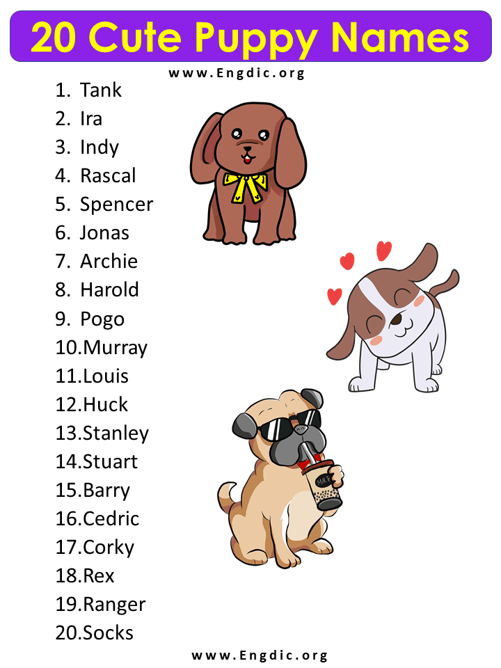 20 Dog Names, Cute dog names list, Cute Puppy names male - EngDic