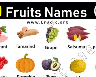 20 Fruits Names List in English