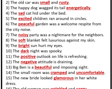 20 Sentences Using Adjectives and Underline
