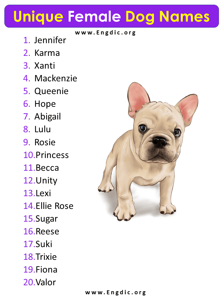 unique dog names girl