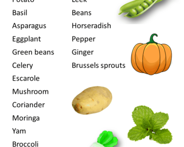20 Vegetables Names List