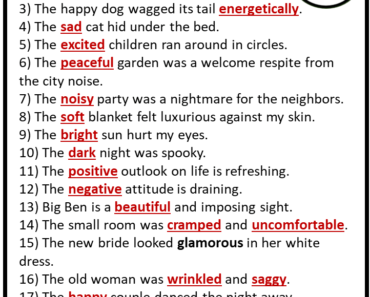 20 Example of Adjective Words