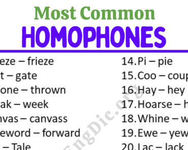 20 Most Common Homophones Words List