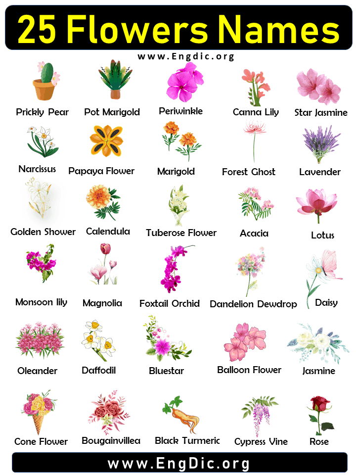 25 Flowers names