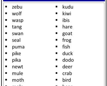 6 Letter Animals Names - EngDic