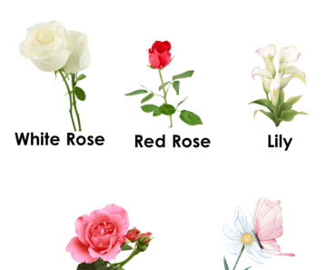 5 Bouquet Flower Names