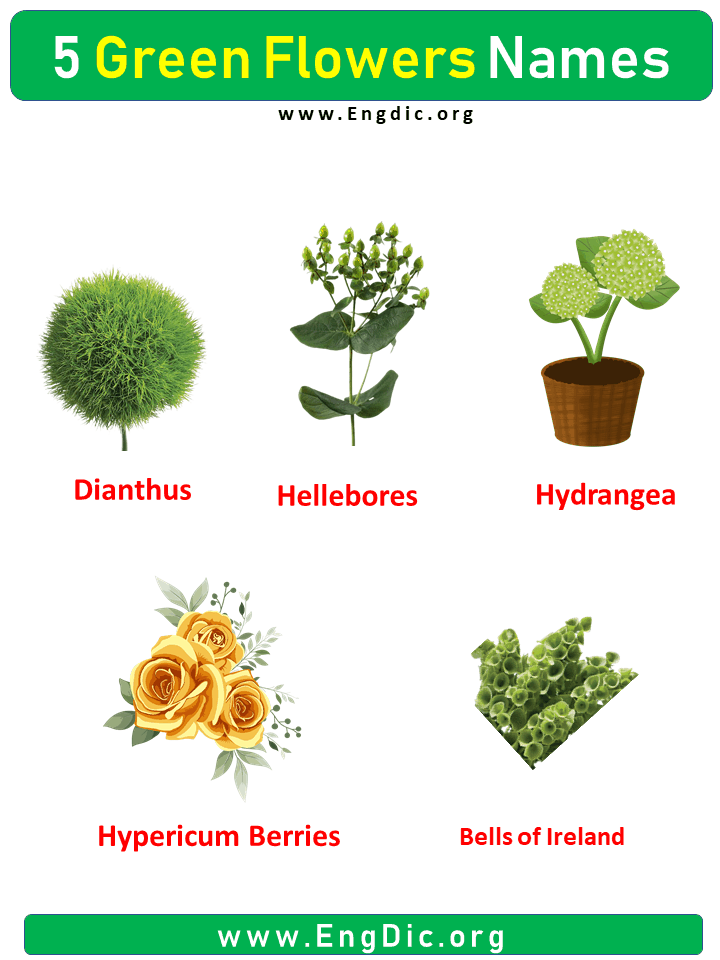 names of green flowers
