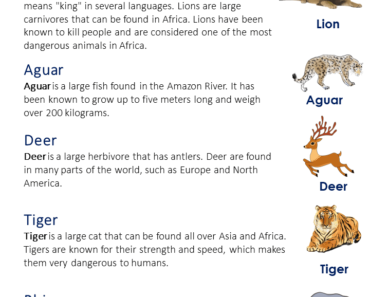 5 Wild Animals Name, Wild animal names list in English