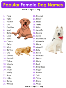 50+ Popular Female Puppy Names, (Cute and Fancy) - EngDic