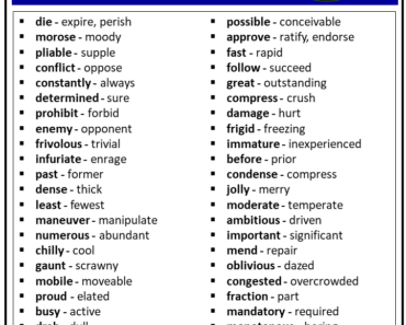 50 Synonyms Words List