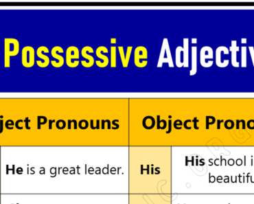 8 Possessive Adjective, Definition, and Examples Sentences