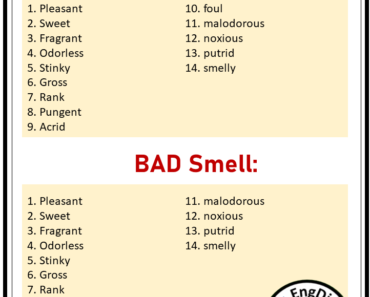 Adjective of Smell, Good and Bad Smell Adjectives