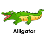 Alligator wild animals names