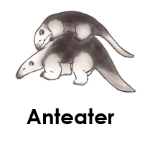 Anteater wild animals names