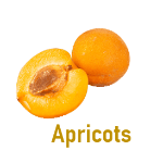 Apricots 5 Dry Fruit Names with Pictures