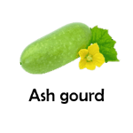 Ash gourd
