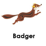 Badger wild animals names