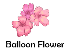 Balloon Flower 50 Flowers names with Pictures