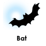 Bat wild animals names
