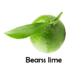 Bearss lime Green Fruit Names