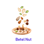 Betel Nut 15 Dry Fruit Names with Pictures