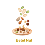 Betel Nut 5 Dry Fruit Names with Pictures