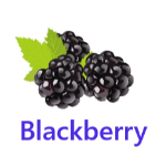 Blackberry fruits names with pictures