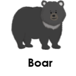 Boar wild animals names