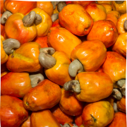 Cashew apple