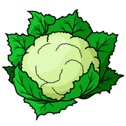 Cauliflower 1