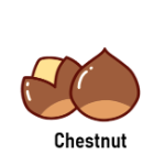 Chestnut 15 Dry Fruit Names with Pictures