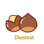 Chestnut 5 Dry Fruit Names with Pictures