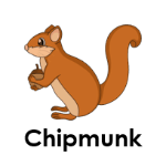 Chipmunk wild animals names