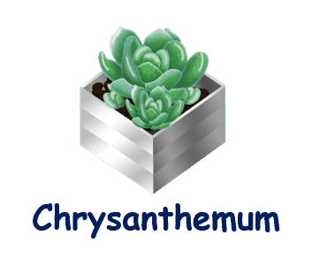Chrysanthemum 20 flowers names