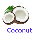 Coconut fruits names with pictures