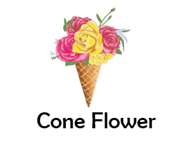 Cone Flower 50 Flowers names with Pictures