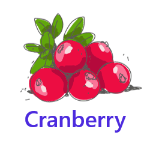 Cranberry fruits names