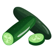 Cucumber 1