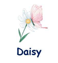Daisy 20 flowers names