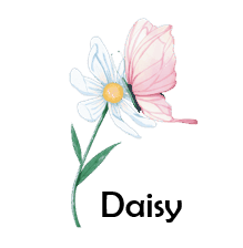 Daisy 50 Flowers names with Pictures