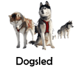 Dogsled transport names vocabulary