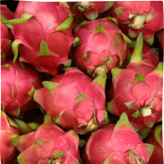 Dragonfruit