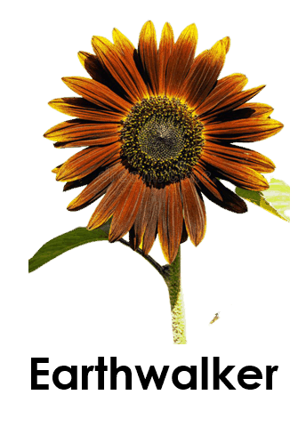 Earthwalker 5 Sunflower Names