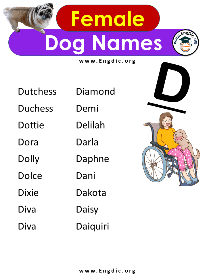 Female Dog Names With d